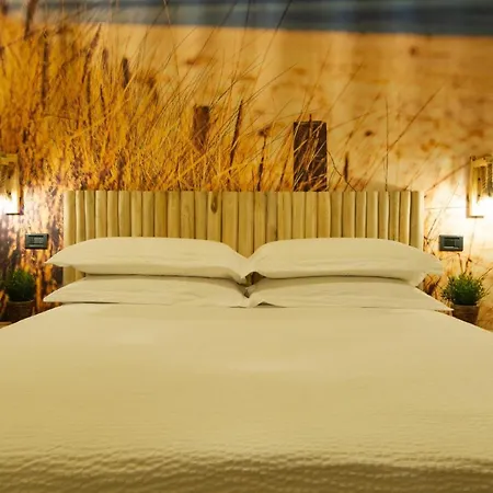 B&B 49 Passi-2